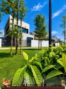 Modern white, two‑story houses with large windows, set in a manicured lawn and trees under a bright blue sky.
