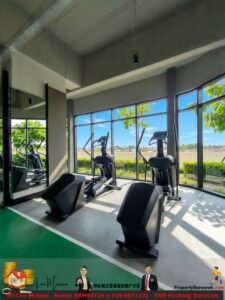 Cardio gym area with treadmills and ellipticals by large windows letting in bright daylight.