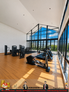 Modern gym interior with cardio machines (treadmills and ellipticals) along a glass wall, flooded with natural light and a wooden floor.