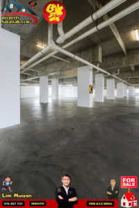 Empty concrete parking level with white support columns, exposed pipes overhead, and industrial lighting.