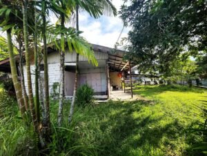 Small corrugated metal house with a covered porch, surrounded by tall bamboo and dense tropical plants.